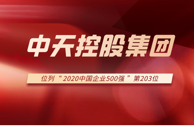 云鼎国际4118集团列2020中国企业500强第203位！